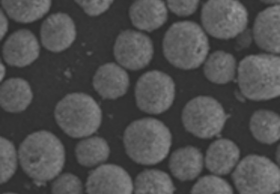 羟基磷灰石1_ChromaX™ 羟基磷灰石层析介质