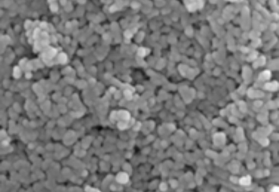 羟基磷灰石2_ChromaX™ 羟基磷灰石层析介质