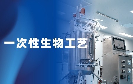 过程表征和验证