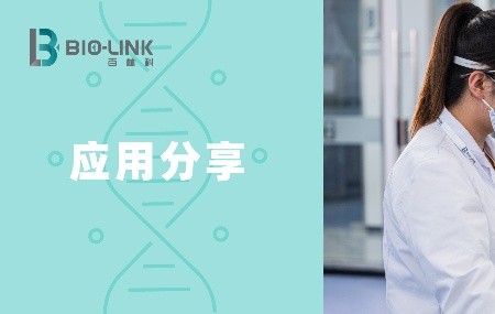 Protein A亲和填料的清洁和寿命