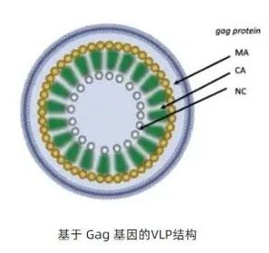 微信图片_20240802114027.jpg