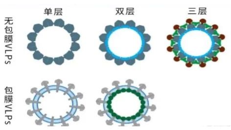 微信图片_20240802114349.jpg