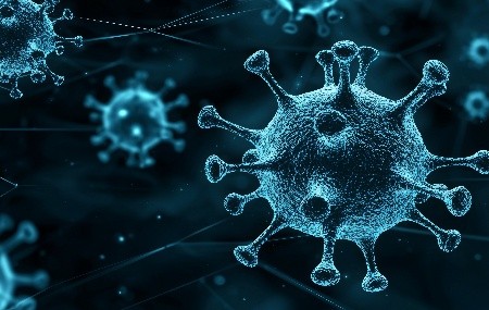 轮状病毒疫苗：从临床应用到纯化技术的深度剖析