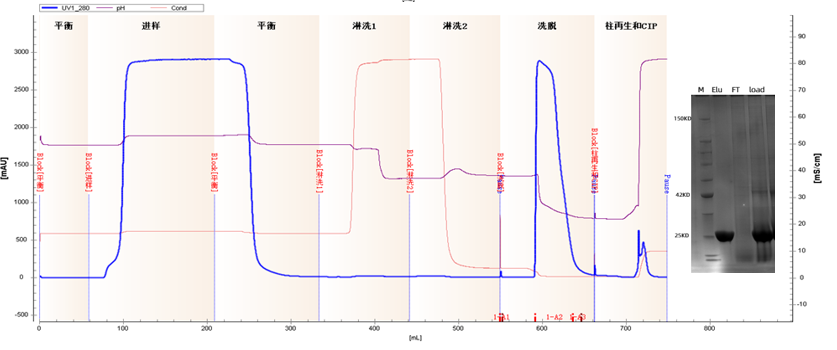 1764913576915461.png 图片3.png