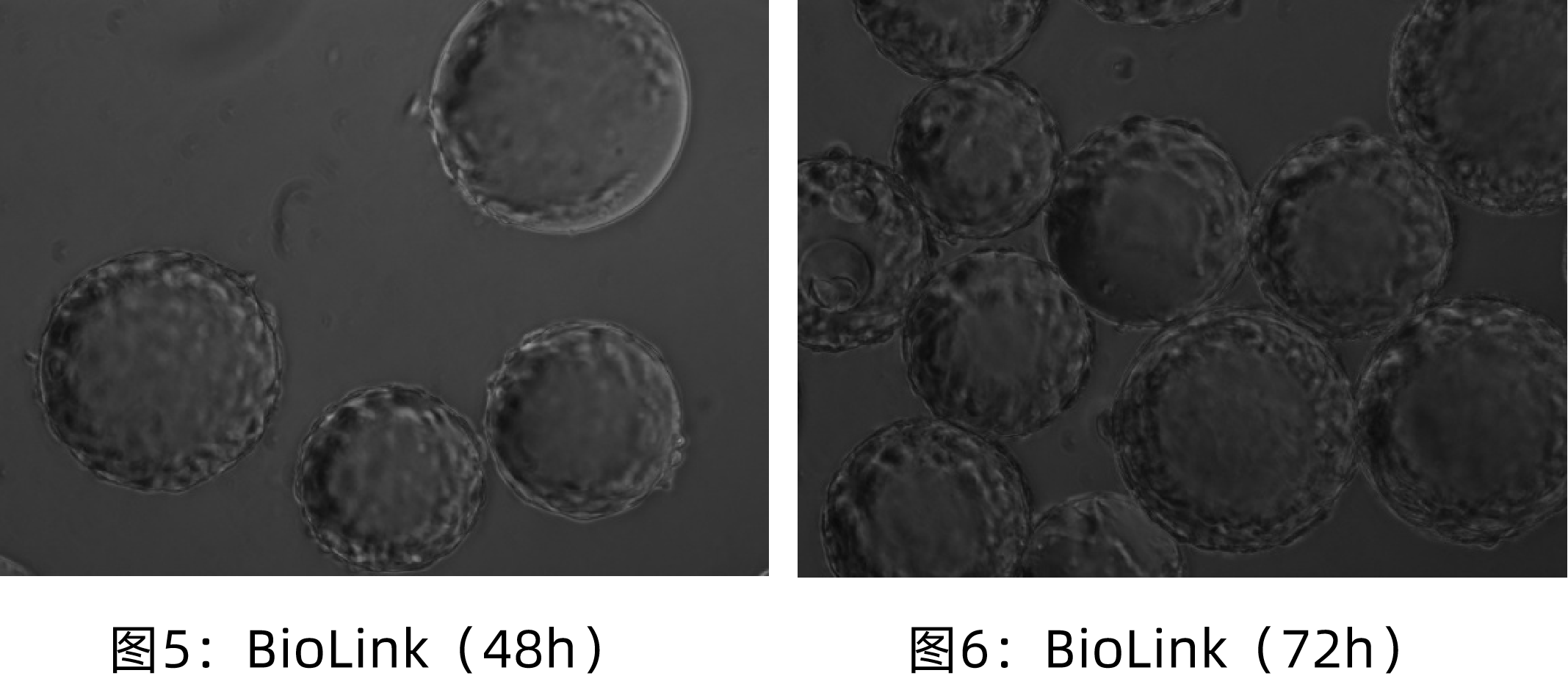 1765524168781878.png 3.png