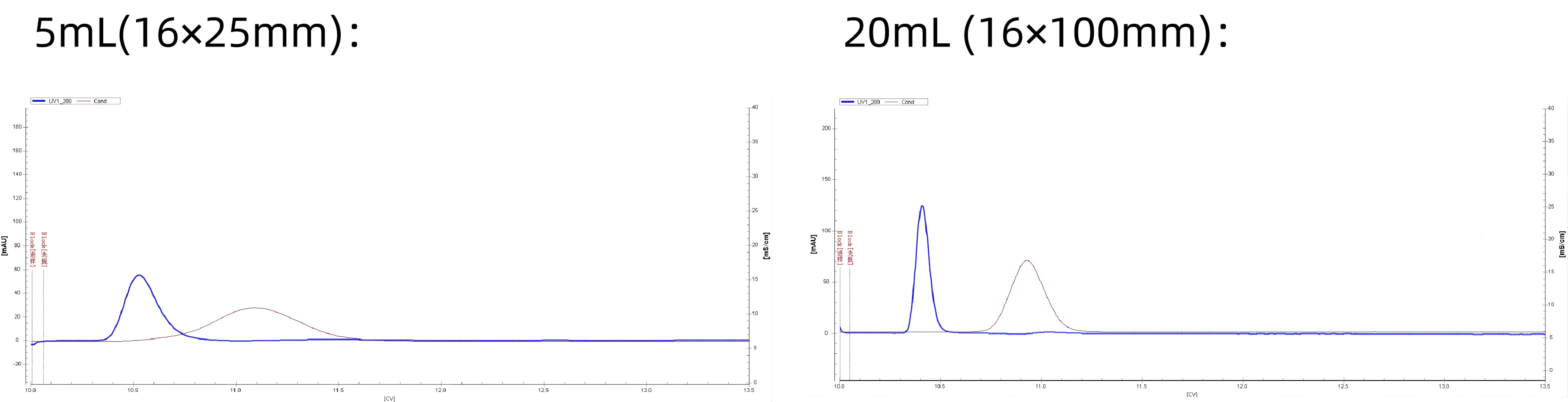 1769158318747423.jpg 2.jpg