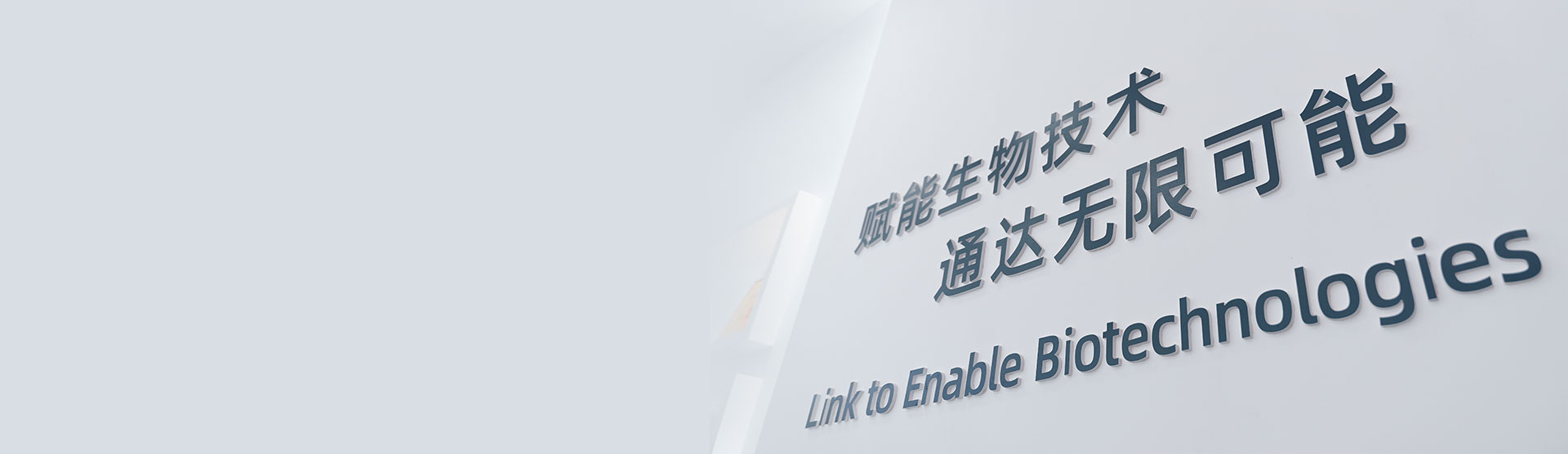 联系我们