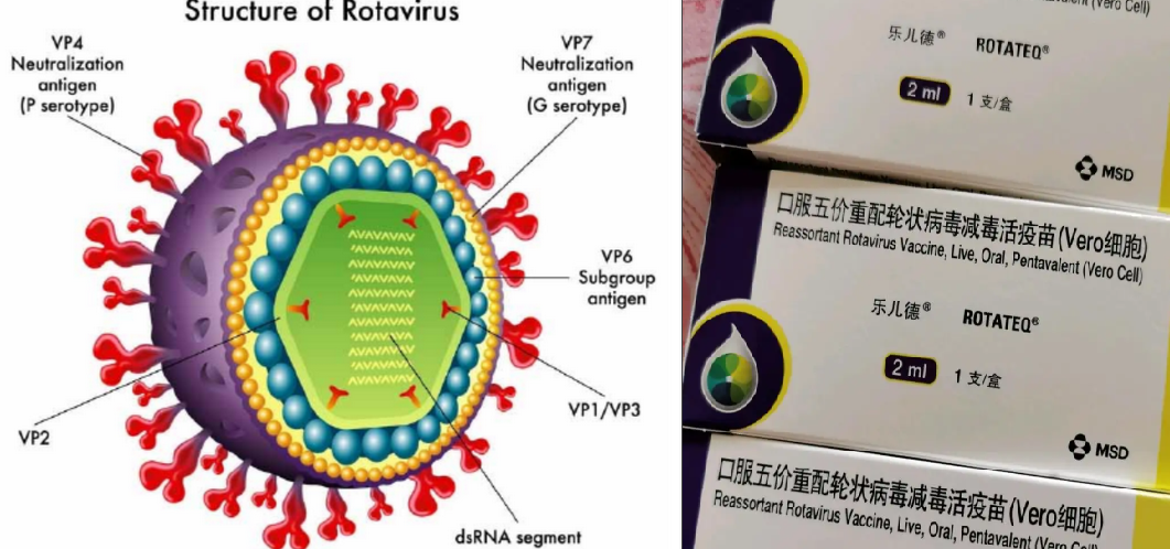 1720763273561211.png 微信图片_20240712135016.png