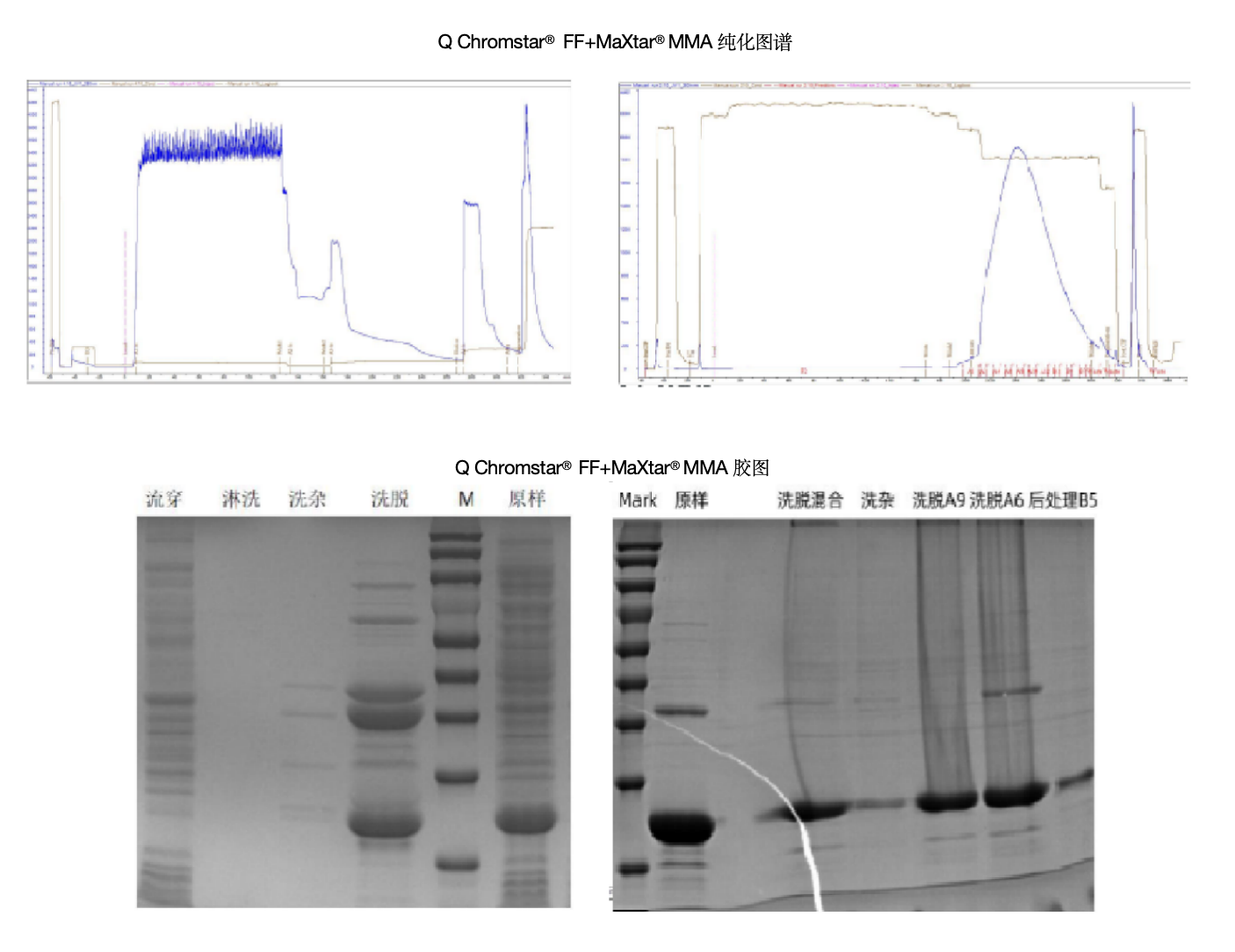 1720767732732626.png 3333.png