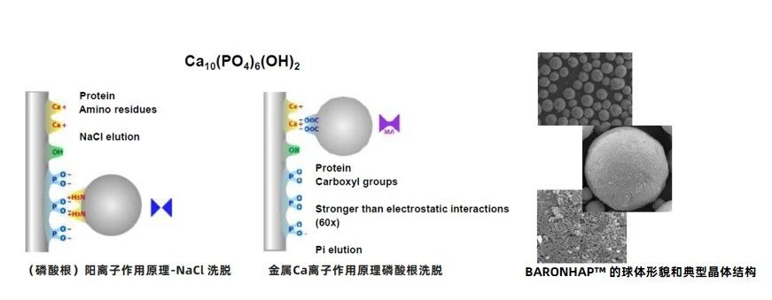 1720767937704033.jpg 微信图片_20240712150919.jpg