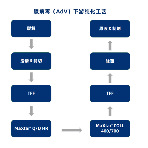 流程副本2.png