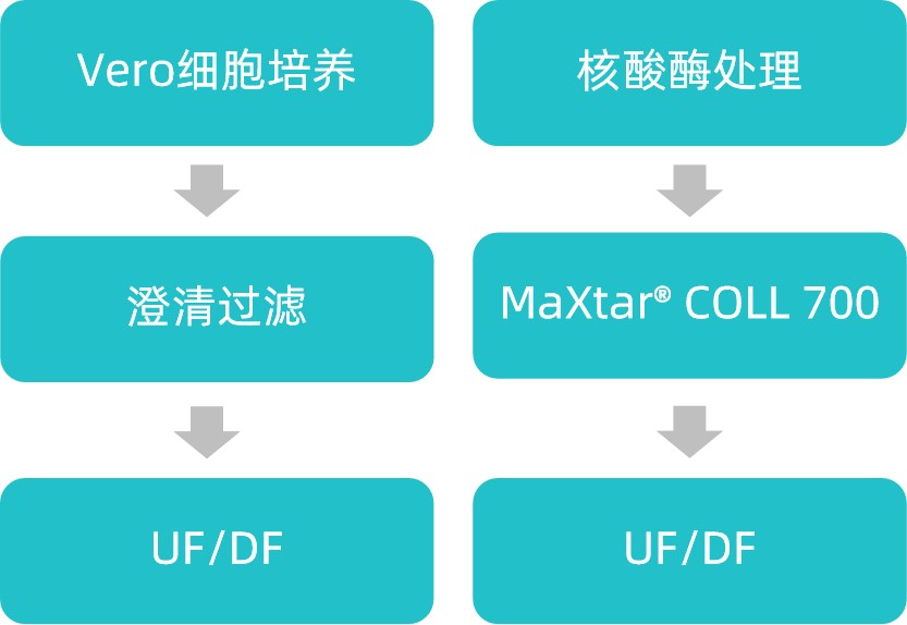 图片1更新.jpg