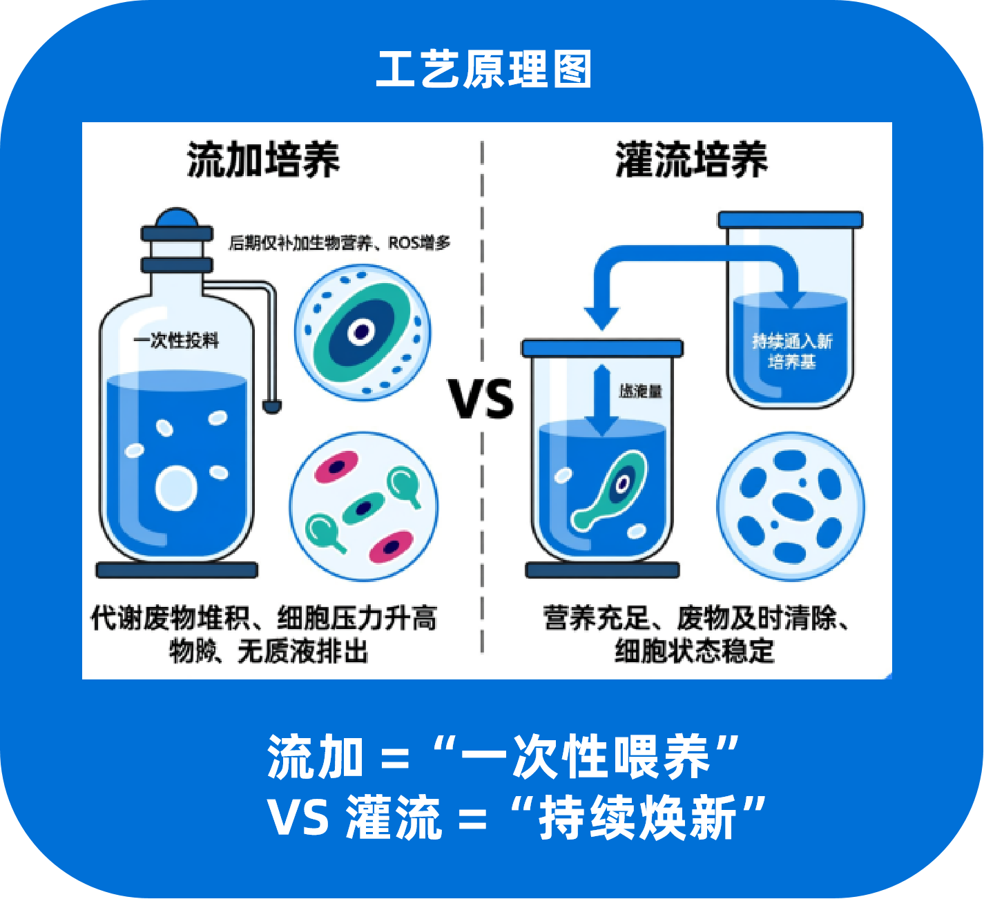 1773988178790177.png 图片4.png