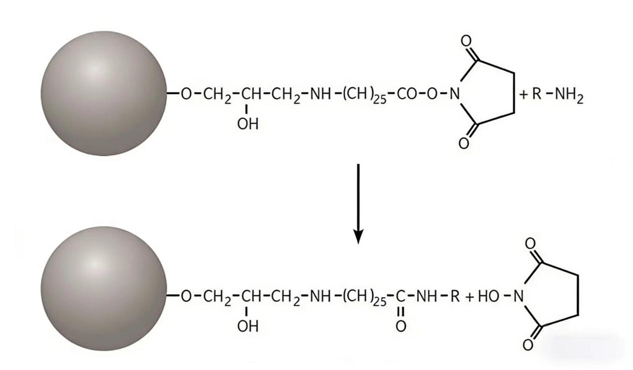 1773990809368430.png 图片5.png